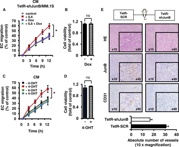 https://cdn.ncbi.nlm.nih.gov/pmc/blobs/ea66/8632680/2dd65bd388b4/41375_2021_1271_Fig5_HTML.jpg