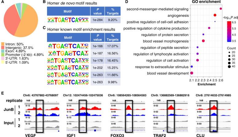 https://cdn.ncbi.nlm.nih.gov/pmc/blobs/ea66/8632680/6aebd7e314a3/41375_2021_1271_Fig4_HTML.jpg