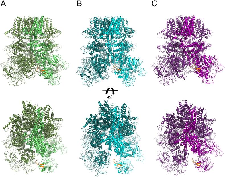 https://cdn.ncbi.nlm.nih.gov/pmc/blobs/ea67/6646794/885527c35dbd/gr4.jpg