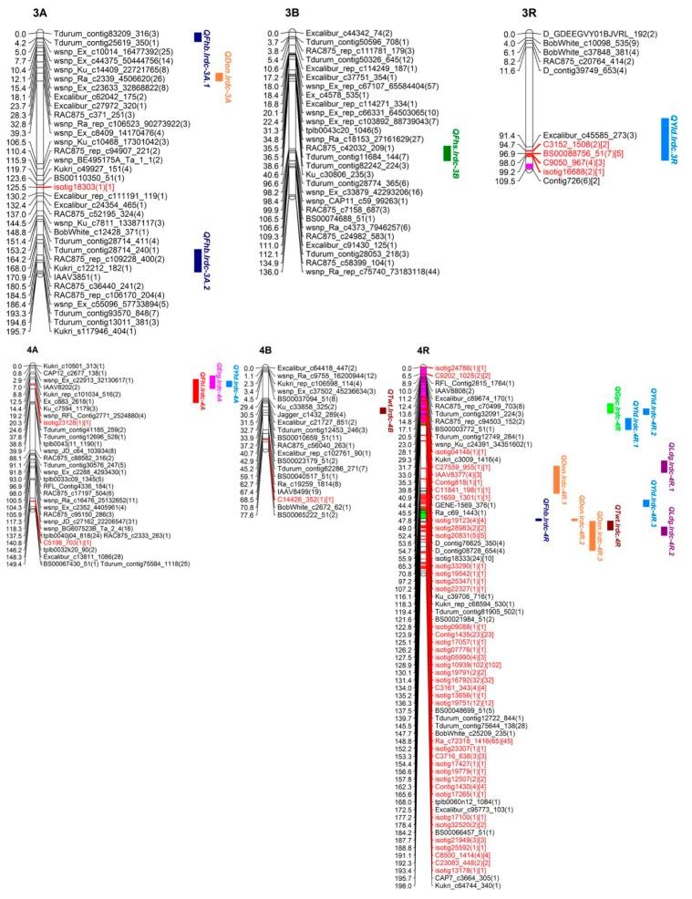 https://cdn.ncbi.nlm.nih.gov/pmc/blobs/ea68/5793172/09cc78960a7b/genes-09-00019-g005.jpg