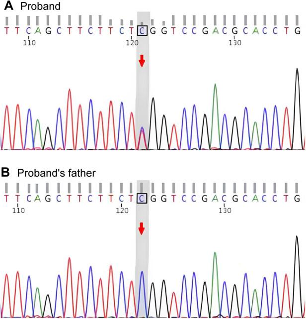 https://cdn.ncbi.nlm.nih.gov/pmc/blobs/ea6a/12331753/44bdaed6e961/fped-13-1588675-g002.jpg