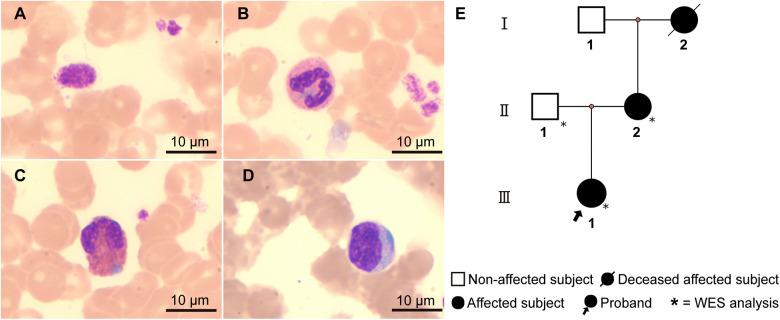https://cdn.ncbi.nlm.nih.gov/pmc/blobs/ea6a/12331753/56b5847a34e0/fped-13-1588675-g001.jpg