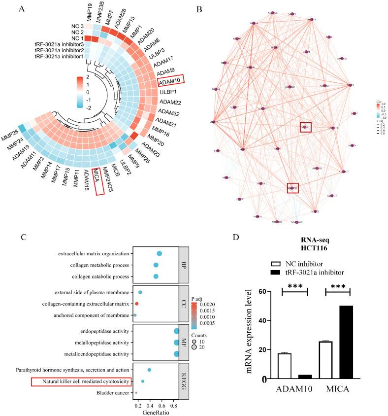 https://cdn.ncbi.nlm.nih.gov/pmc/blobs/ea6c/12301416/562f639922ea/fimmu-16-1620550-g003.jpg