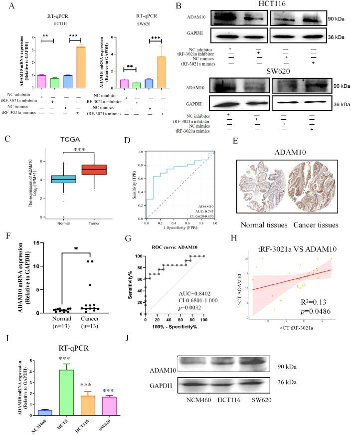 https://cdn.ncbi.nlm.nih.gov/pmc/blobs/ea6c/12301416/5e541bd6e316/fimmu-16-1620550-g004.jpg