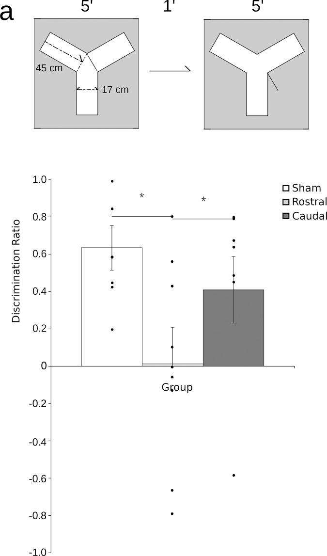 https://cdn.ncbi.nlm.nih.gov/pmc/blobs/ea6d/9662724/bf9833c24b5b/pone.0277414.g003.jpg