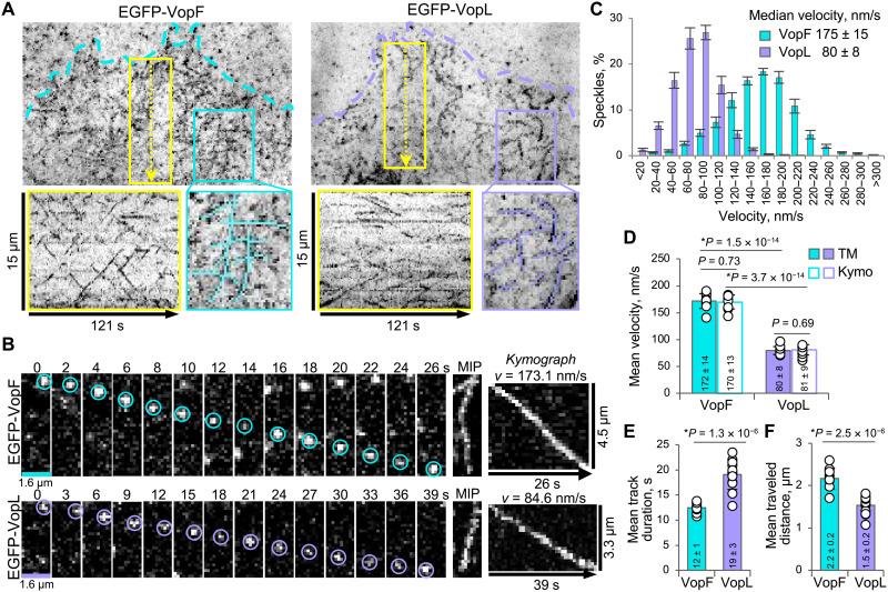 https://cdn.ncbi.nlm.nih.gov/pmc/blobs/ea6e/9674292/2400cb9140e8/sciadv.adc9239-f2.jpg