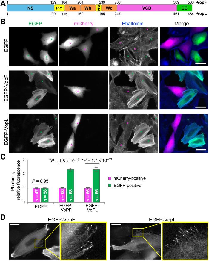 https://cdn.ncbi.nlm.nih.gov/pmc/blobs/ea6e/9674292/2f3ed2af9d07/sciadv.adc9239-f1.jpg