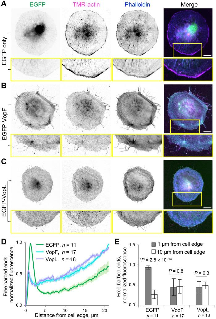 https://cdn.ncbi.nlm.nih.gov/pmc/blobs/ea6e/9674292/43b2595af56f/sciadv.adc9239-f6.jpg