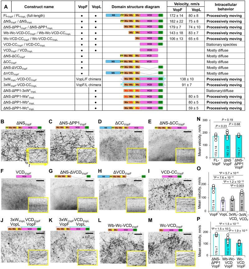 https://cdn.ncbi.nlm.nih.gov/pmc/blobs/ea6e/9674292/a26ebb531b83/sciadv.adc9239-f3.jpg