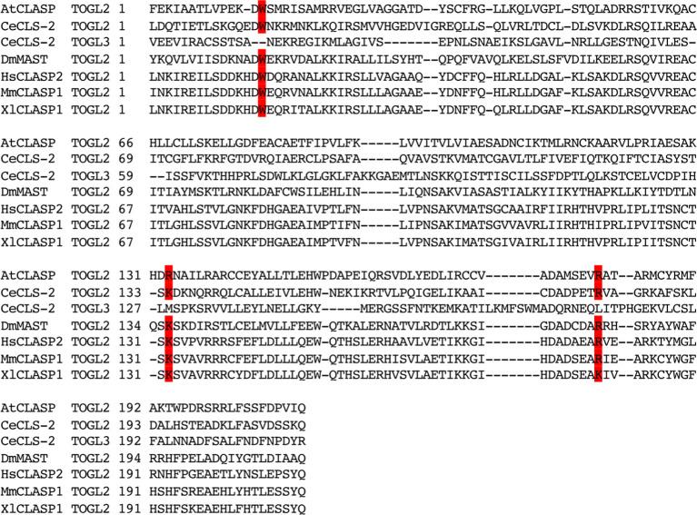 https://cdn.ncbi.nlm.nih.gov/pmc/blobs/ea6f/10005782/307660e52b62/elife-82579-fig5-figsupp2.jpg