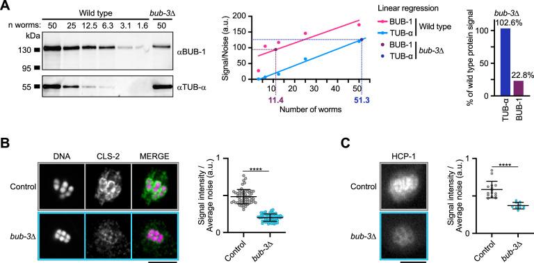 https://cdn.ncbi.nlm.nih.gov/pmc/blobs/ea6f/10005782/8556116c1791/elife-82579-fig1-figsupp1.jpg