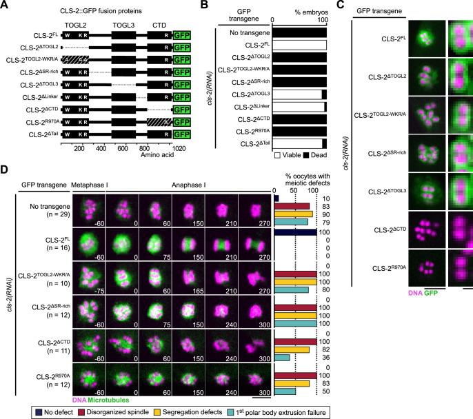 https://cdn.ncbi.nlm.nih.gov/pmc/blobs/ea6f/10005782/aa7565eea88b/elife-82579-fig5.jpg