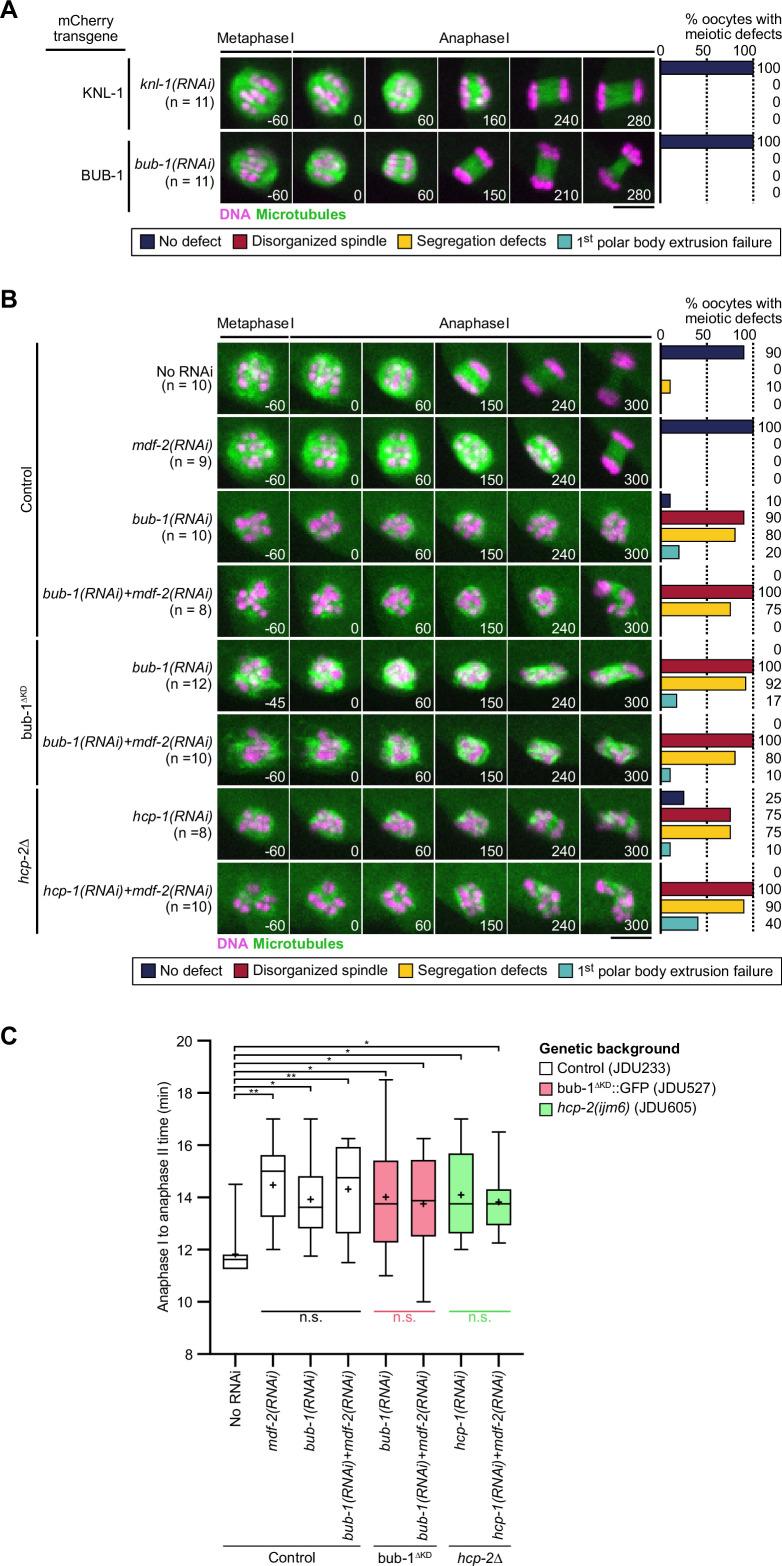 https://cdn.ncbi.nlm.nih.gov/pmc/blobs/ea6f/10005782/e753892fcf56/elife-82579-fig3-figsupp1.jpg