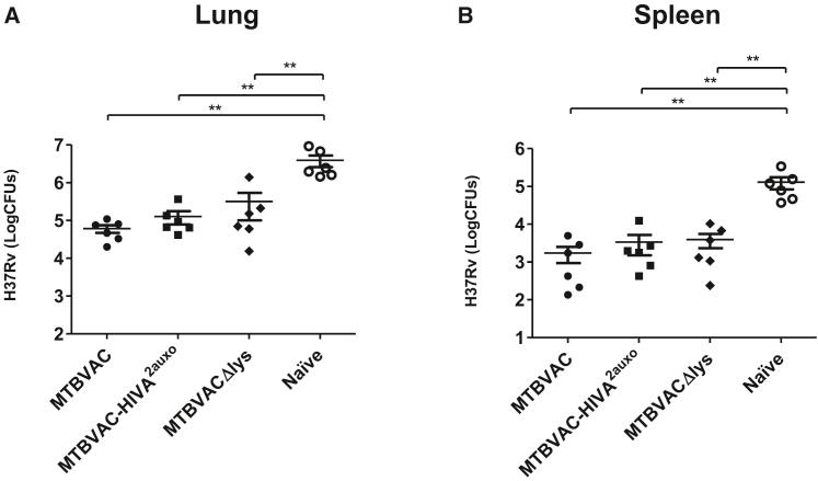 https://cdn.ncbi.nlm.nih.gov/pmc/blobs/ea6f/6395831/5cf83310b504/gr6.jpg