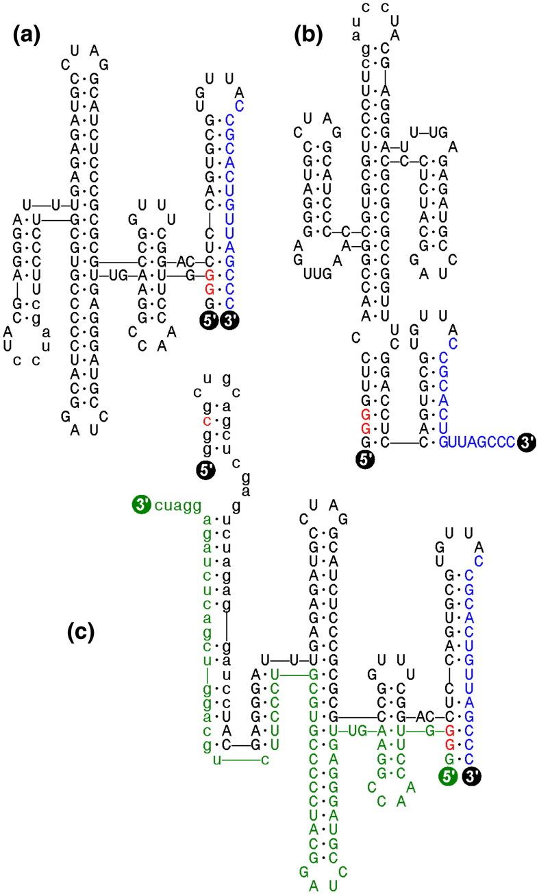 https://cdn.ncbi.nlm.nih.gov/pmc/blobs/ea6f/7173182/17b2411f5066/gr1_lrg.jpg