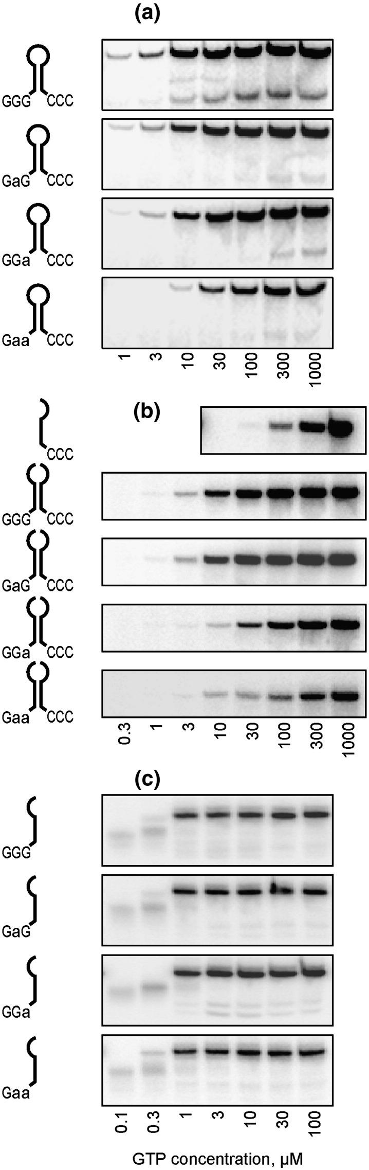 https://cdn.ncbi.nlm.nih.gov/pmc/blobs/ea6f/7173182/d40cb2fe4768/gr3_lrg.jpg