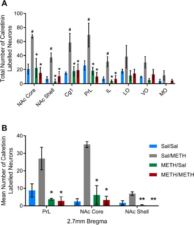 https://cdn.ncbi.nlm.nih.gov/pmc/blobs/ea6f/9385811/0ebe9105fa59/213_2022_6175_Fig5_HTML.jpg