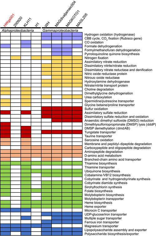https://cdn.ncbi.nlm.nih.gov/pmc/blobs/ea71/10989825/da4991e5f448/MLF2-2-178-g001.jpg