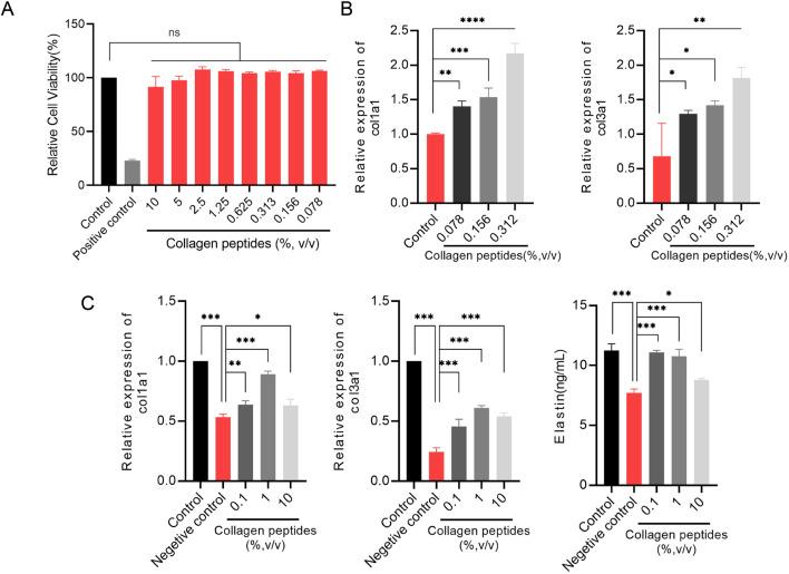https://cdn.ncbi.nlm.nih.gov/pmc/blobs/ea71/12066645/7cd3eba23515/fbioe-13-1575341-g004.jpg