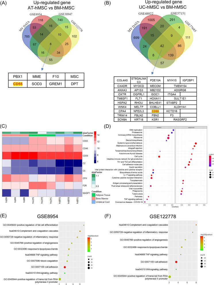 https://cdn.ncbi.nlm.nih.gov/pmc/blobs/ea73/10291819/97e29844696b/13287_2023_3380_Fig4_HTML.jpg