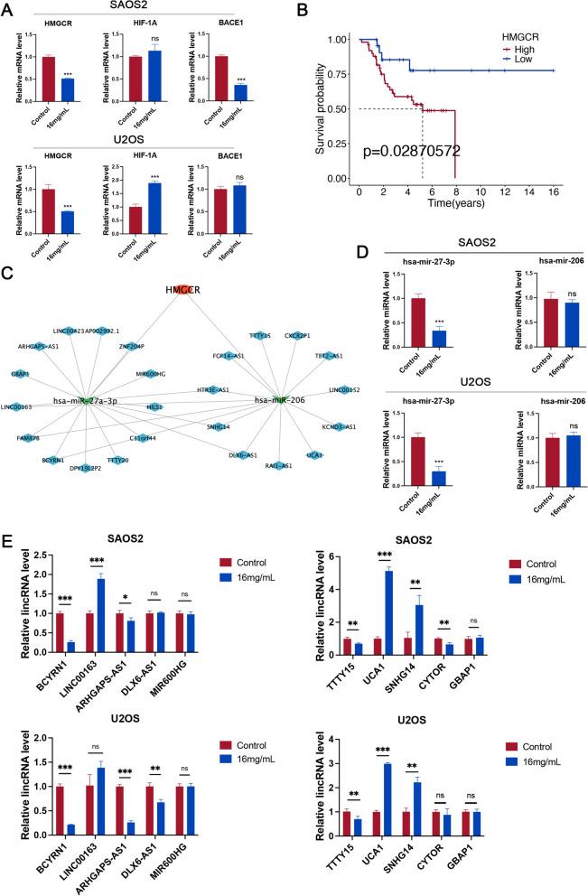 https://cdn.ncbi.nlm.nih.gov/pmc/blobs/ea73/12323198/159041338716/13020_2025_1179_Fig5_HTML.jpg