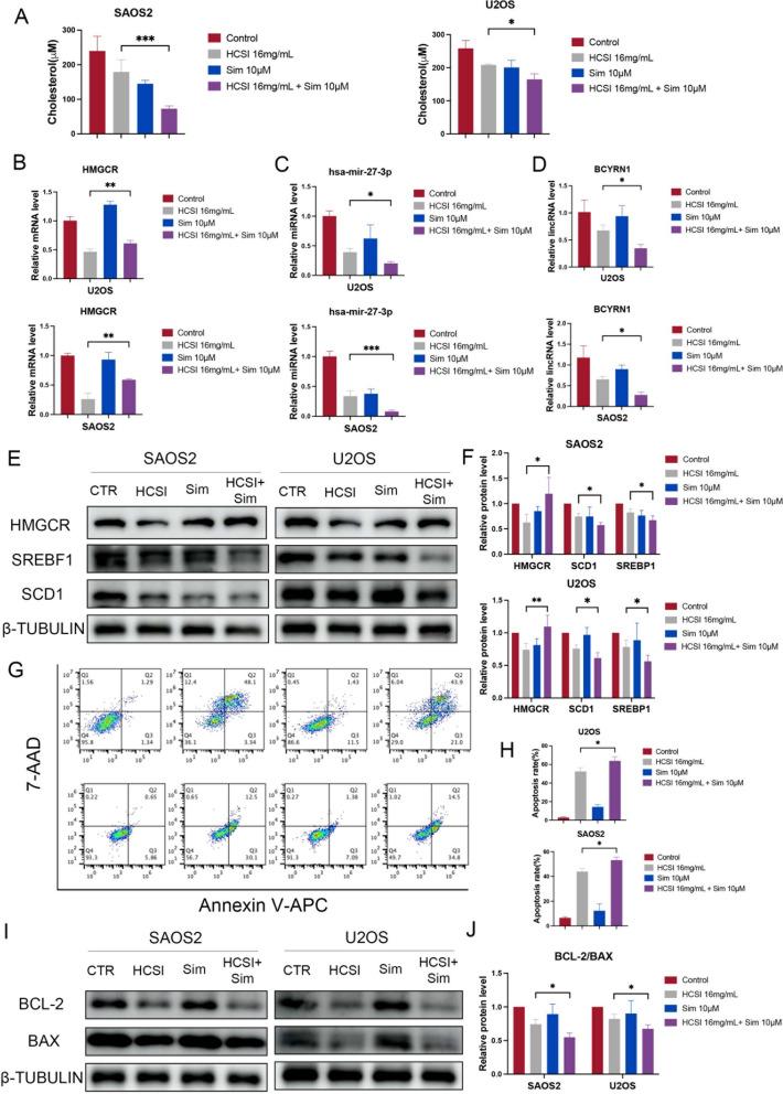 https://cdn.ncbi.nlm.nih.gov/pmc/blobs/ea73/12323198/51527101ee9e/13020_2025_1179_Fig10_HTML.jpg