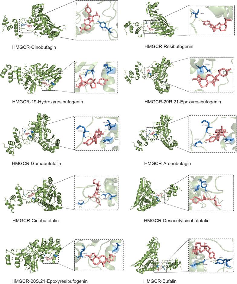 https://cdn.ncbi.nlm.nih.gov/pmc/blobs/ea73/12323198/aee71067bbf0/13020_2025_1179_Fig7_HTML.jpg