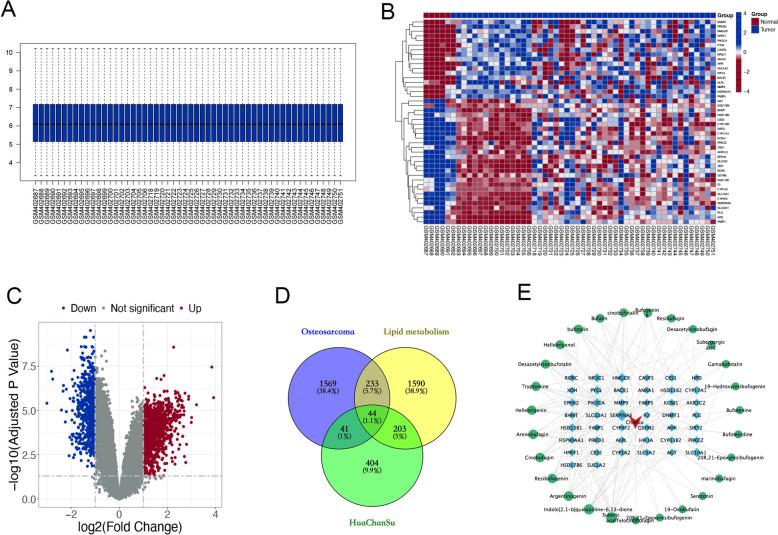 https://cdn.ncbi.nlm.nih.gov/pmc/blobs/ea73/12323198/ca457897e068/13020_2025_1179_Fig2_HTML.jpg