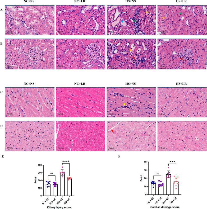 https://cdn.ncbi.nlm.nih.gov/pmc/blobs/ea75/11462651/828f4c743df9/40560_2024_746_Fig3_HTML.jpg