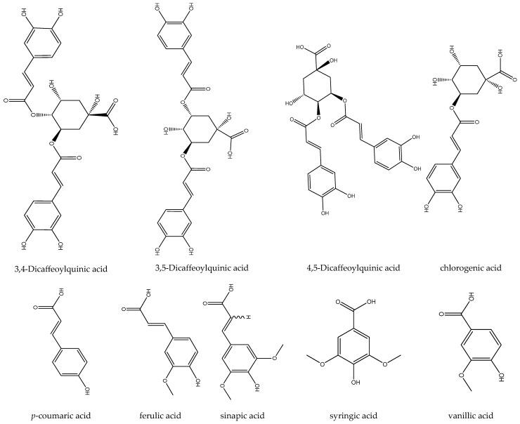 https://cdn.ncbi.nlm.nih.gov/pmc/blobs/ea75/11505096/5032b5973096/biomedicines-12-02297-g006.jpg