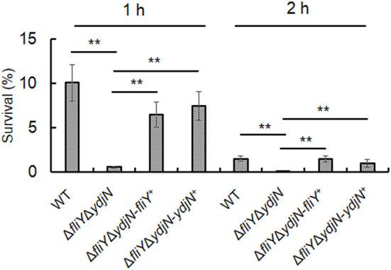 https://cdn.ncbi.nlm.nih.gov/pmc/blobs/ea78/10213525/fdca2de4ec47/fmicb-14-1169774-g0005.jpg