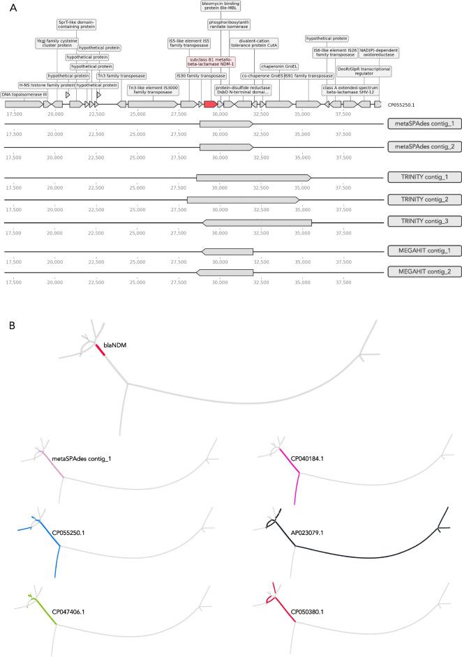https://cdn.ncbi.nlm.nih.gov/pmc/blobs/ea7b/11479545/84bd6ec0db6a/12864_2024_10876_Fig5_HTML.jpg