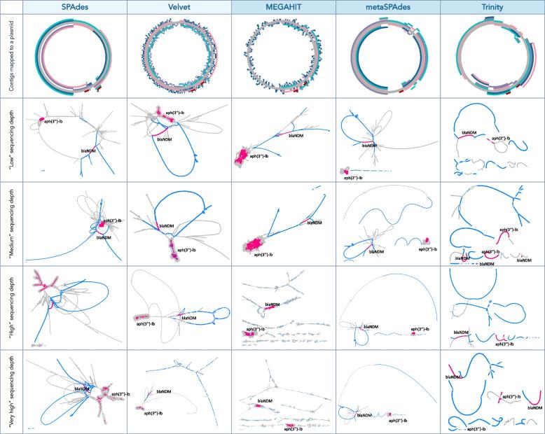 https://cdn.ncbi.nlm.nih.gov/pmc/blobs/ea7b/11479545/d2d04fcc181a/12864_2024_10876_Fig4_HTML.jpg
