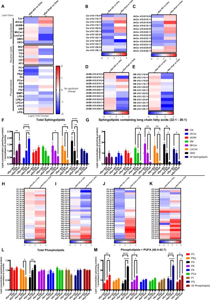 https://cdn.ncbi.nlm.nih.gov/pmc/blobs/ea7b/12043847/d628f1f17a0e/41531_2025_960_Fig2_HTML.jpg
