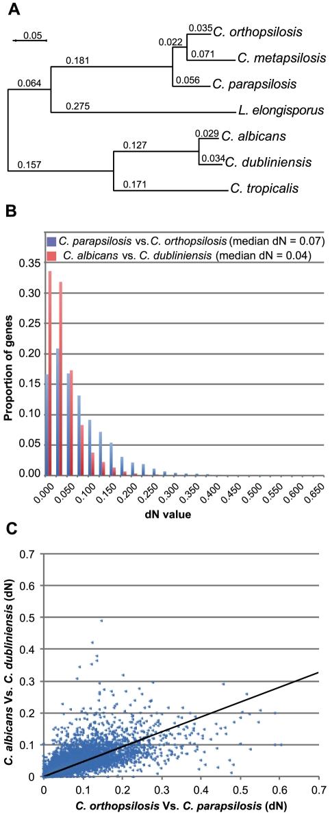 https://cdn.ncbi.nlm.nih.gov/pmc/blobs/ea7d/3338533/799a1cef6bc9/pone.0035750.g002.jpg