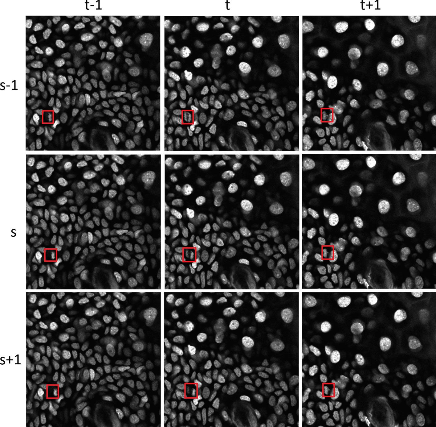 https://cdn.ncbi.nlm.nih.gov/pmc/blobs/ea7d/7908657/f88670133cd3/12859_2021_4014_Fig1_HTML.jpg