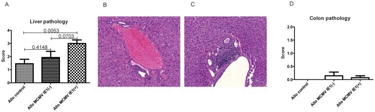 https://cdn.ncbi.nlm.nih.gov/pmc/blobs/ea7e/3626592/10a0ae8275aa/pone.0061841.g005.jpg