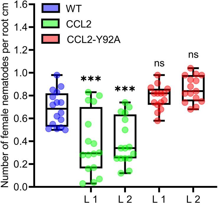https://cdn.ncbi.nlm.nih.gov/pmc/blobs/ea81/8063123/97c5fe581e3a/fpls-12-657451-g002.jpg
