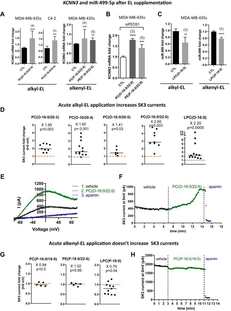 https://cdn.ncbi.nlm.nih.gov/pmc/blobs/ea83/11127165/13b016fa76d5/gr5.jpg