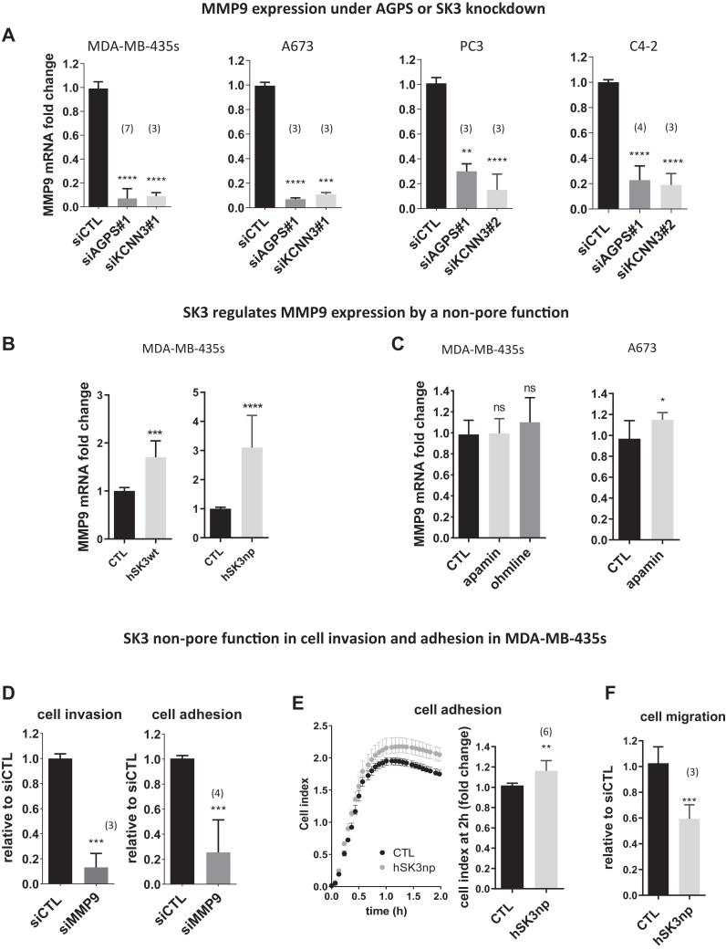 https://cdn.ncbi.nlm.nih.gov/pmc/blobs/ea83/11127165/1602533a8fa7/gr3.jpg