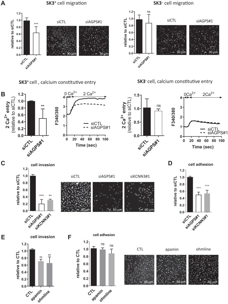 https://cdn.ncbi.nlm.nih.gov/pmc/blobs/ea83/11127165/3147f742754a/gr2.jpg