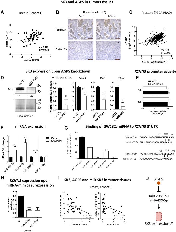 https://cdn.ncbi.nlm.nih.gov/pmc/blobs/ea83/11127165/fa53d4166f59/gr1.jpg