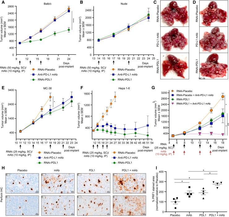 https://cdn.ncbi.nlm.nih.gov/pmc/blobs/ea83/11184339/6223d0cf983a/gr6.jpg