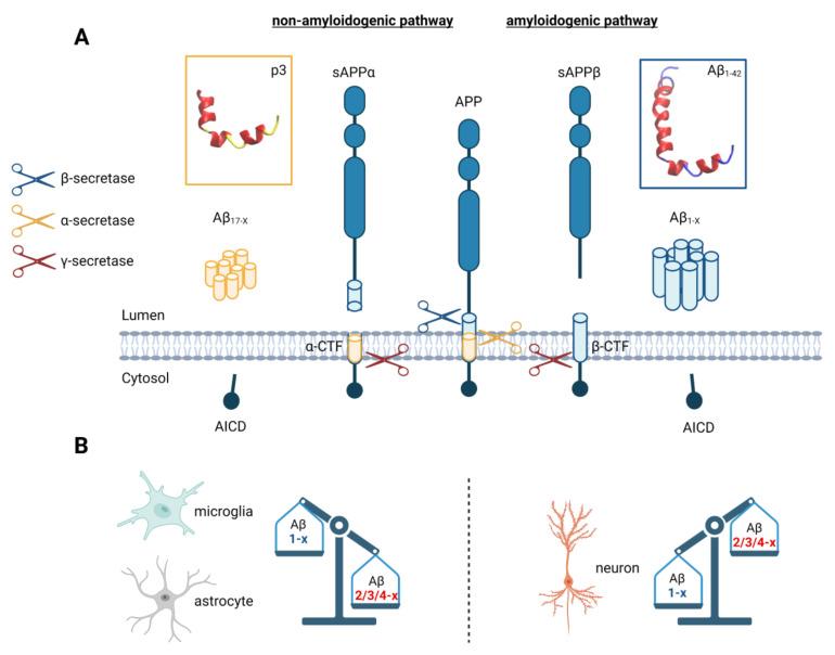 https://cdn.ncbi.nlm.nih.gov/pmc/blobs/ea83/9654995/440e956c405c/cells-11-03421-g003.jpg