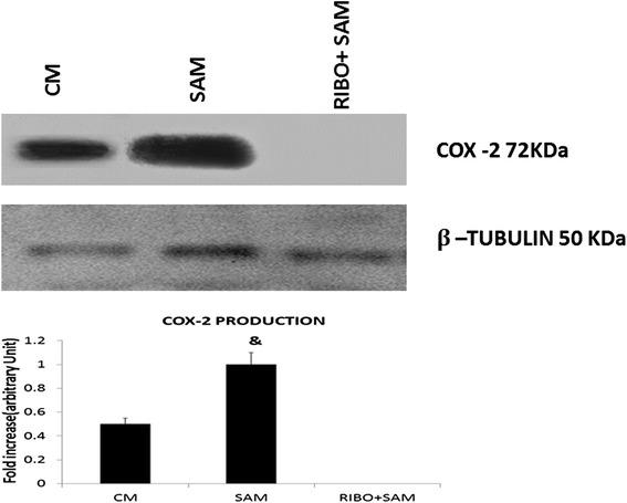https://cdn.ncbi.nlm.nih.gov/pmc/blobs/ea84/5126841/68d2d3a2e683/12950_2016_145_Fig8_HTML.jpg
