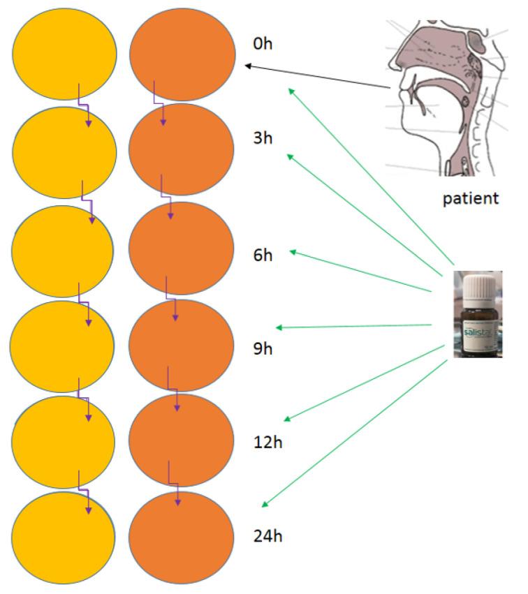 https://cdn.ncbi.nlm.nih.gov/pmc/blobs/ea89/8200234/6fc97269befd/materials-14-03086-g002.jpg