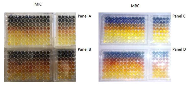 https://cdn.ncbi.nlm.nih.gov/pmc/blobs/ea89/8200234/8fc23eeda054/materials-14-03086-g008.jpg