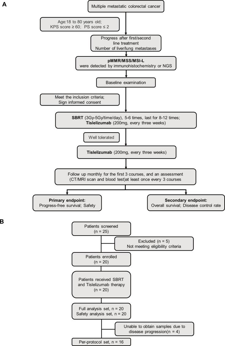 https://cdn.ncbi.nlm.nih.gov/pmc/blobs/ea8a/12201948/696fae943b21/elife-103559-fig1.jpg