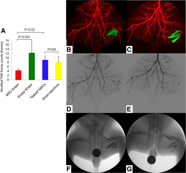 https://cdn.ncbi.nlm.nih.gov/pmc/blobs/ea8a/3925252/74895f31aeb3/1532-429X-16-7-7.jpg