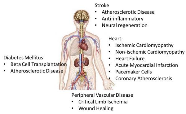https://cdn.ncbi.nlm.nih.gov/pmc/blobs/ea8a/3925252/d78a612a20ea/1532-429X-16-7-1.jpg